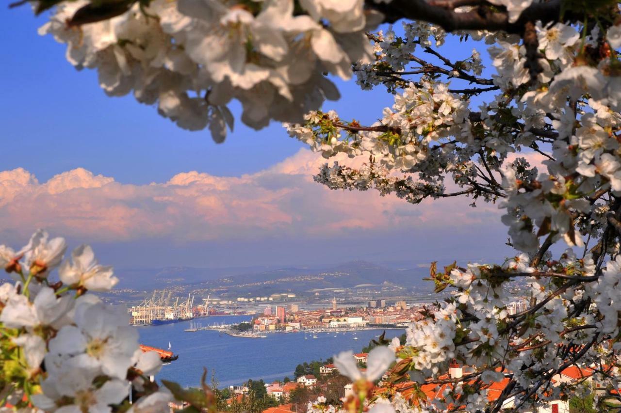 Apartament Razgled/The View Koper Zewnętrze zdjęcie